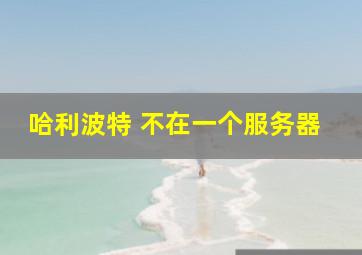 哈利波特 不在一个服务器